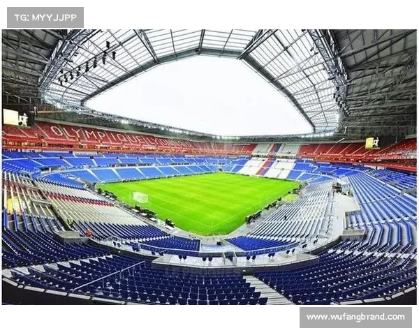 法甲冠军辉煌历程与成就探索，铸就足球历史的传奇篇章